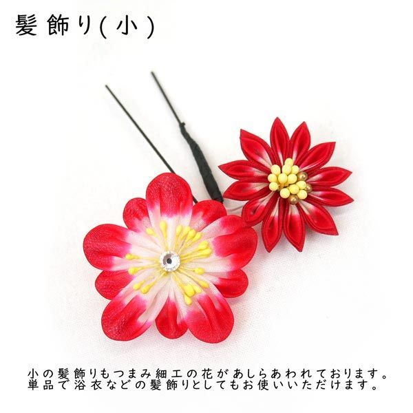 髪飾り２点セット