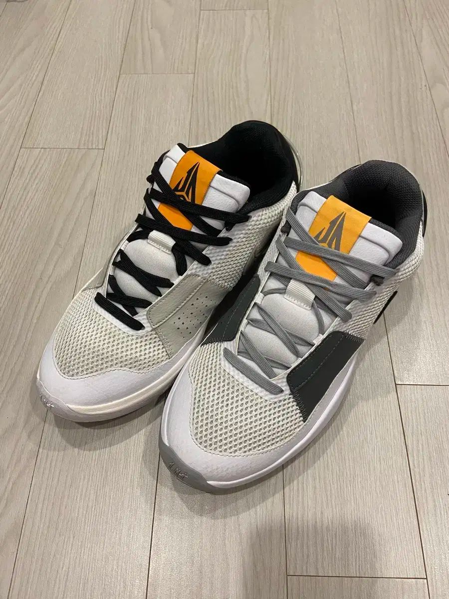 ナイキ JA 1 スモーク グレー 275 mm