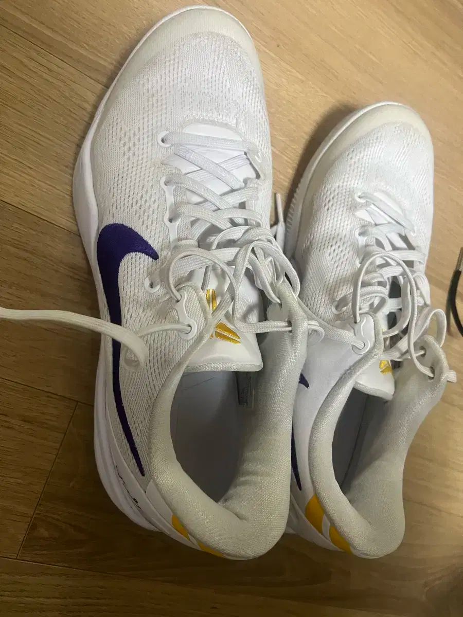  A NIKE ナイキ Kobe 8 Protro 275 COLOR シューズ(男性用) バスケットボール
