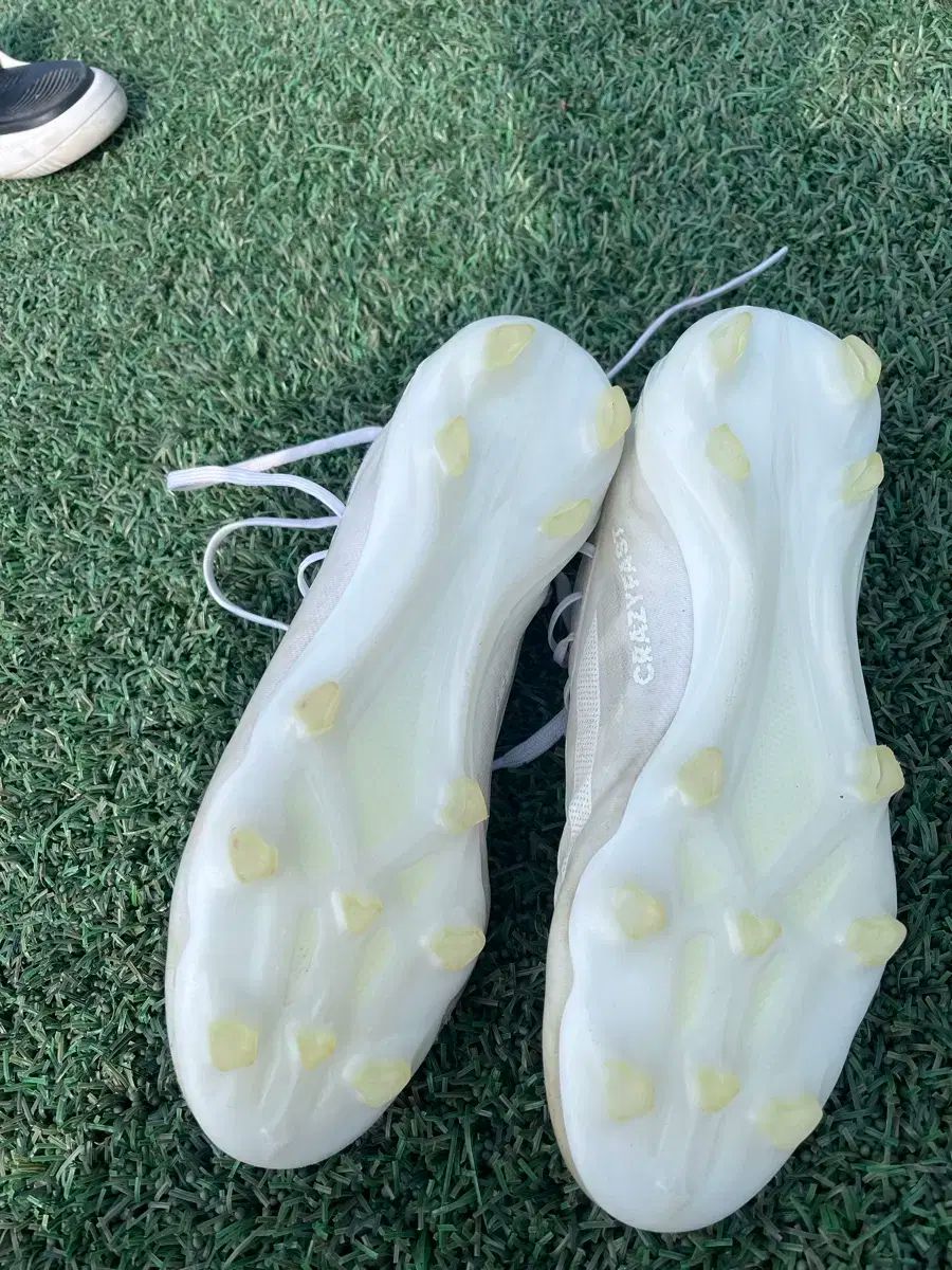 アディダス クレイジー パス pt 1 The Past Ver fg 275