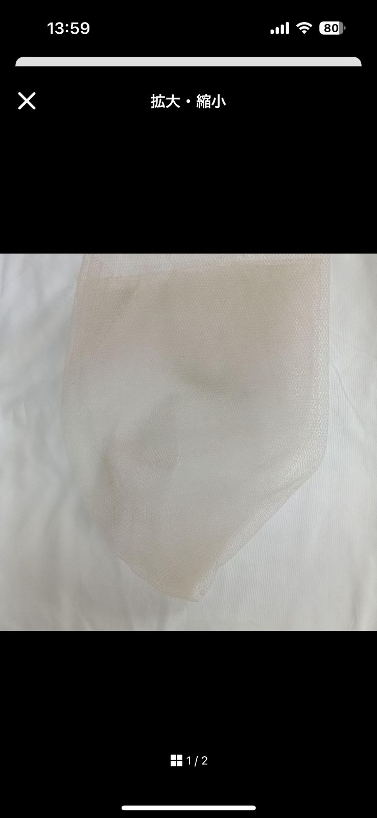 鮎 渓流タモAB級