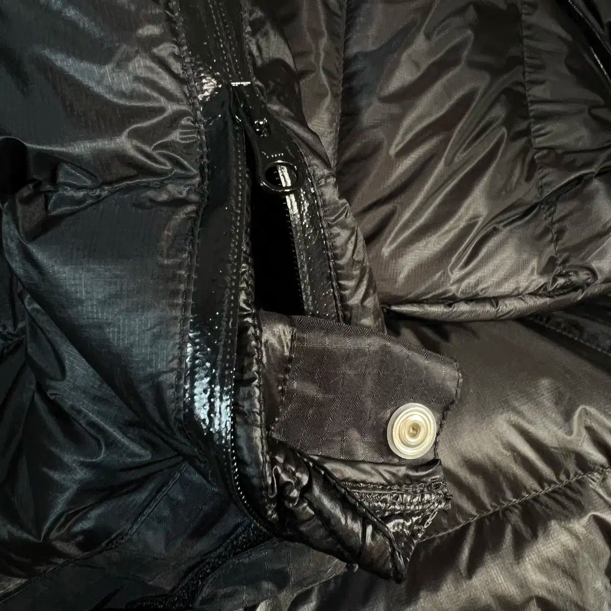 パデッド パンツ