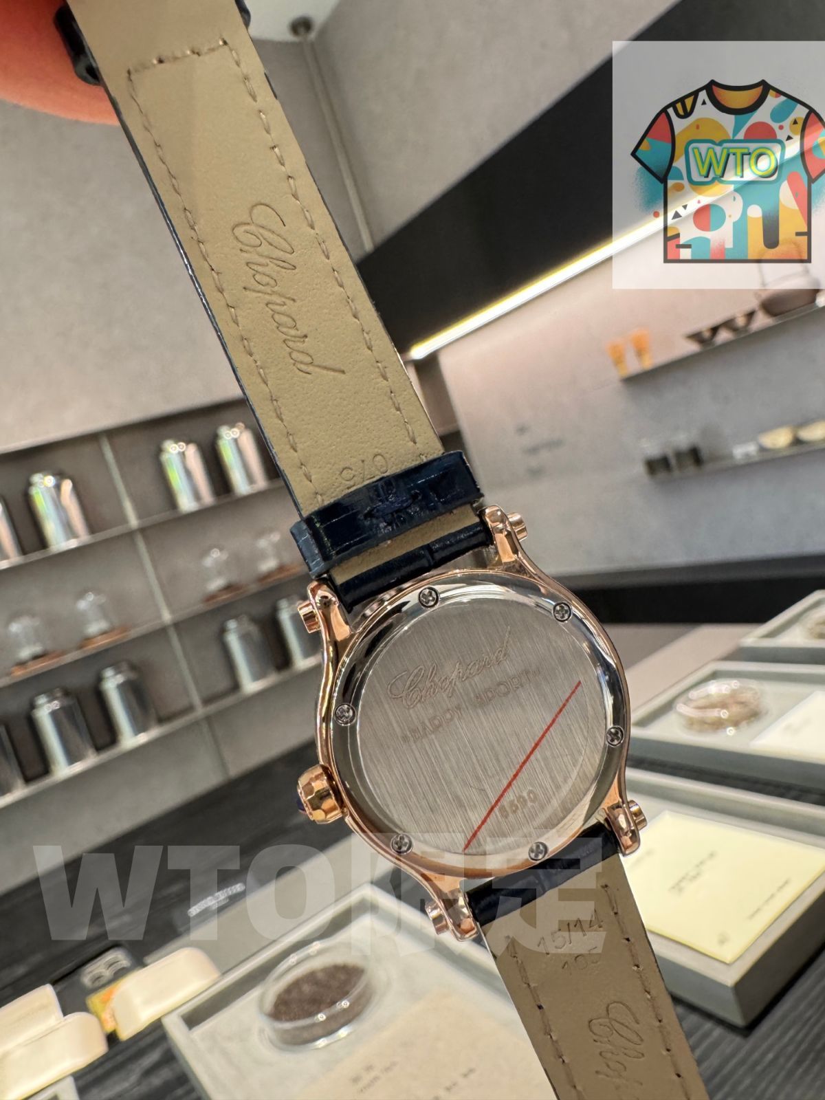 ショパール快楽五 貝殻面