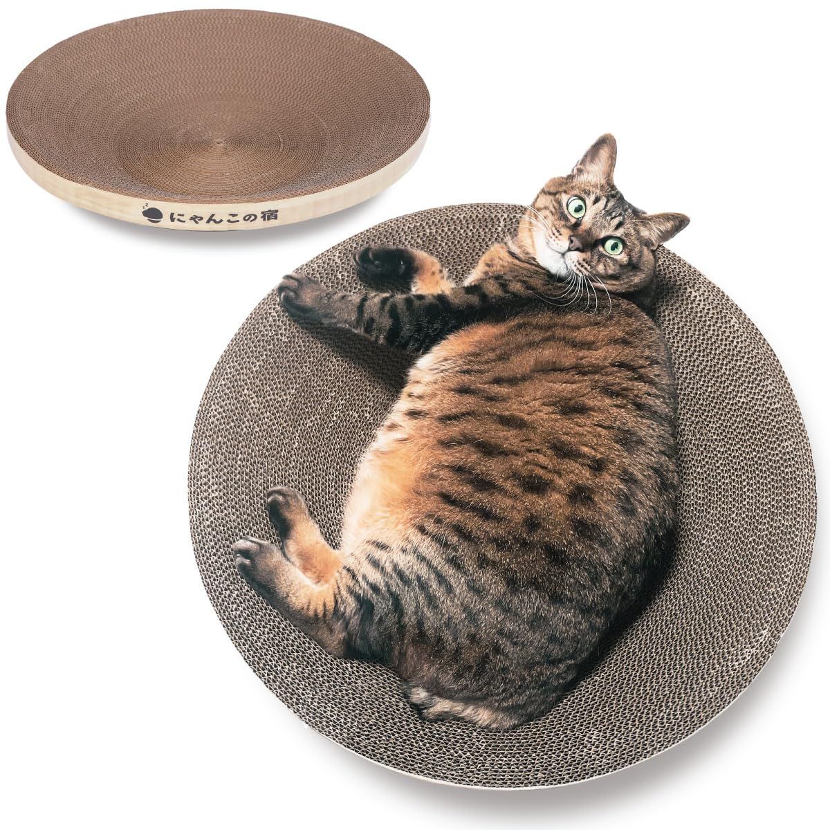 送料無料♥TBCナールスリムコンプリート ナール超音波 正規店【NARLを買うならココ！】 送料無料♥TBCナールスリム