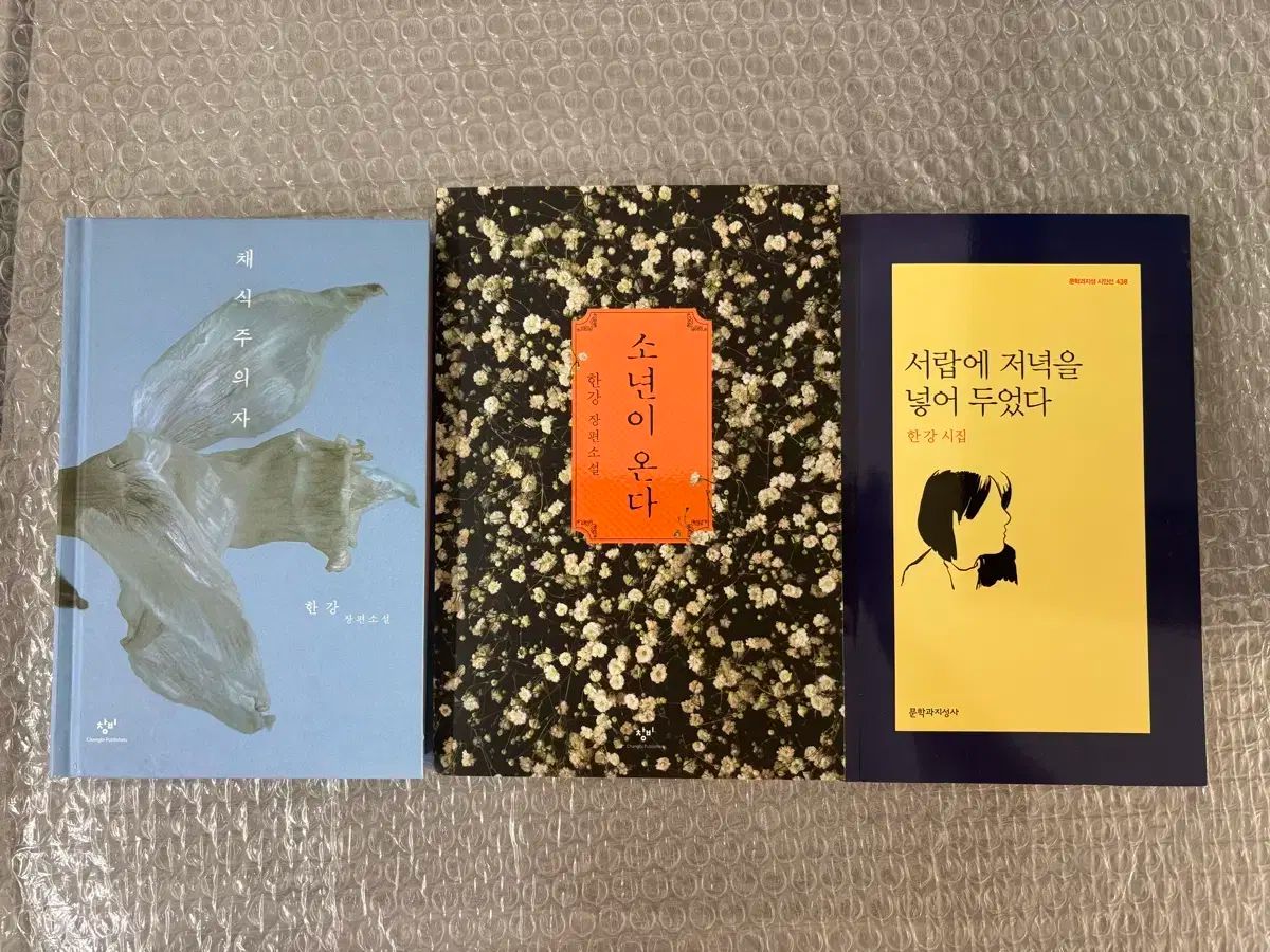 ハン HAN 角ノーベル賞 本 少年オンダ ベジタリアン 引き出しを 夜に 入れておいた