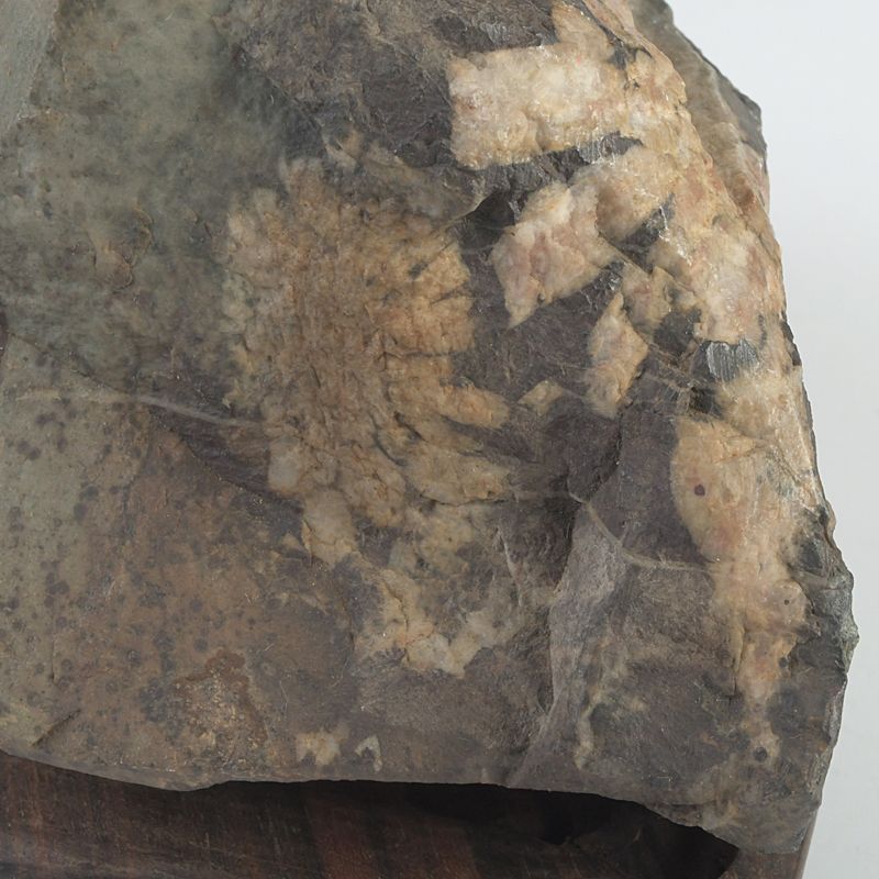 鑑賞石 天然石 菊花石 置物 重さ約 1694g 唐木台付 N S272 - メルカリ