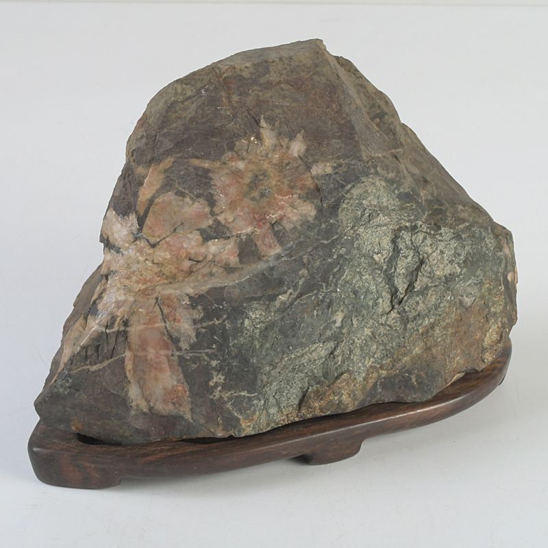 鑑賞石 天然石 菊花石 置物 重さ約 1694g 唐木台付 N S272 - メルカリ