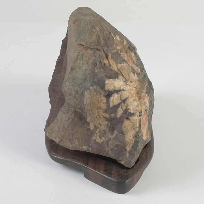 鑑賞石 天然石 菊花石 置物 重さ約 1694g 唐木台付 N S272 - メルカリ