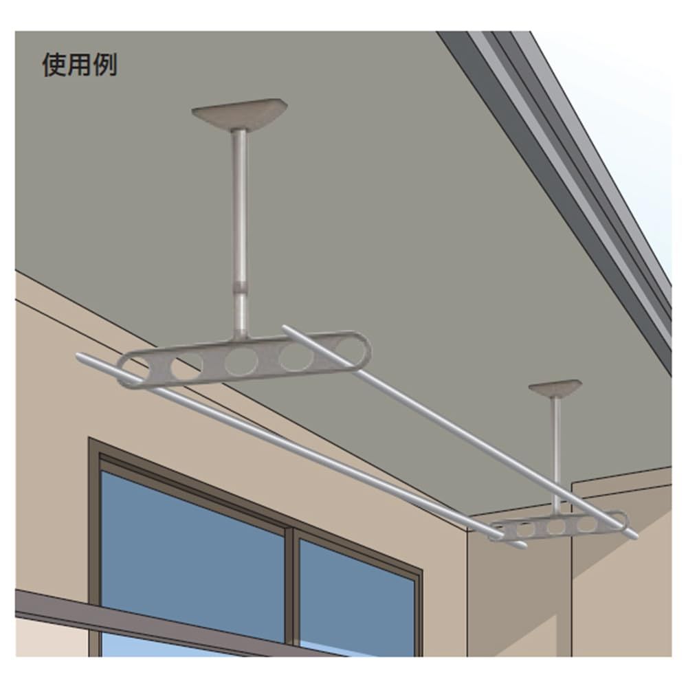 川口技研 軒天用物干し ホスクリーン ZA-0645-ST ステンカラー 2本1組