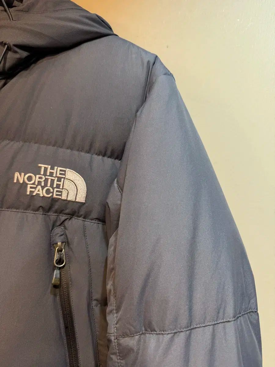 ザノースフェイス マクマード グースダウン