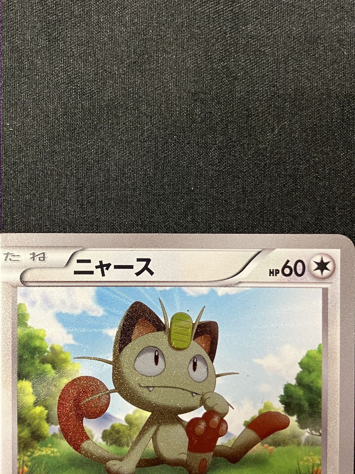 ポケモンカードゲーム ポケカ ニャース UR BW2-072 BW2 拡張パック