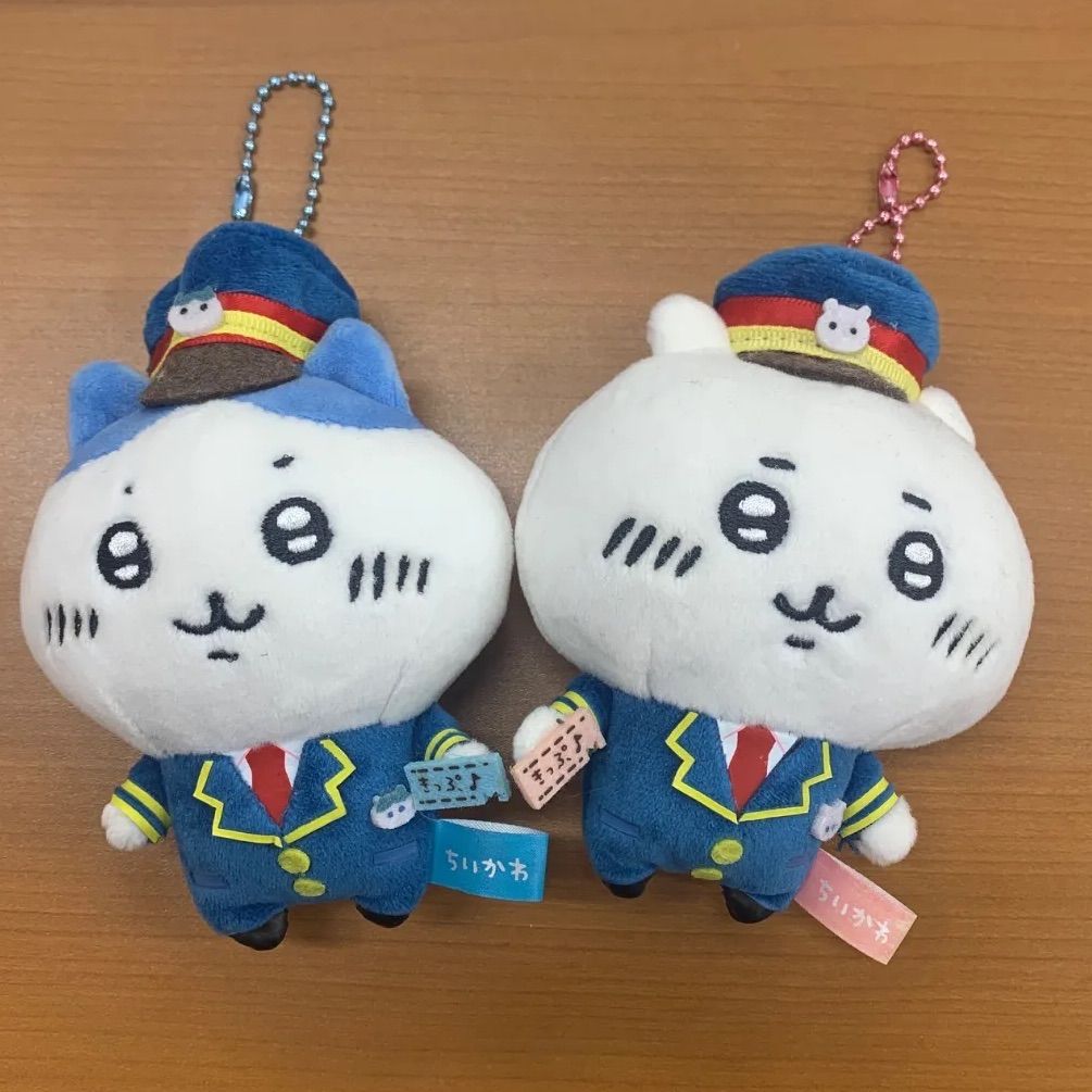 ショップ ちょっぴり癖っ毛♡ころころボディ♡エキゾチック子猫ちゃん