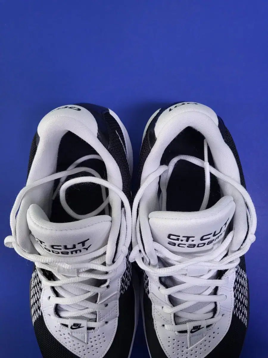 ズーム ジティカット