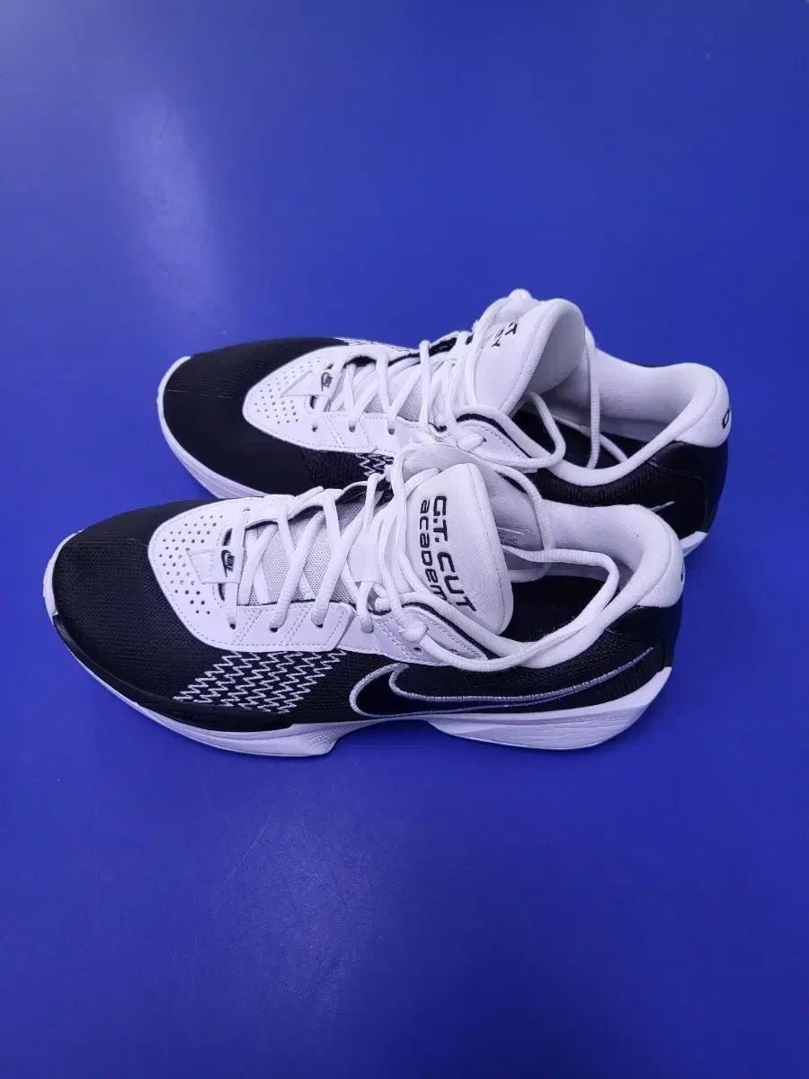 ナイキ ズーム ジティカット アカデミー EP