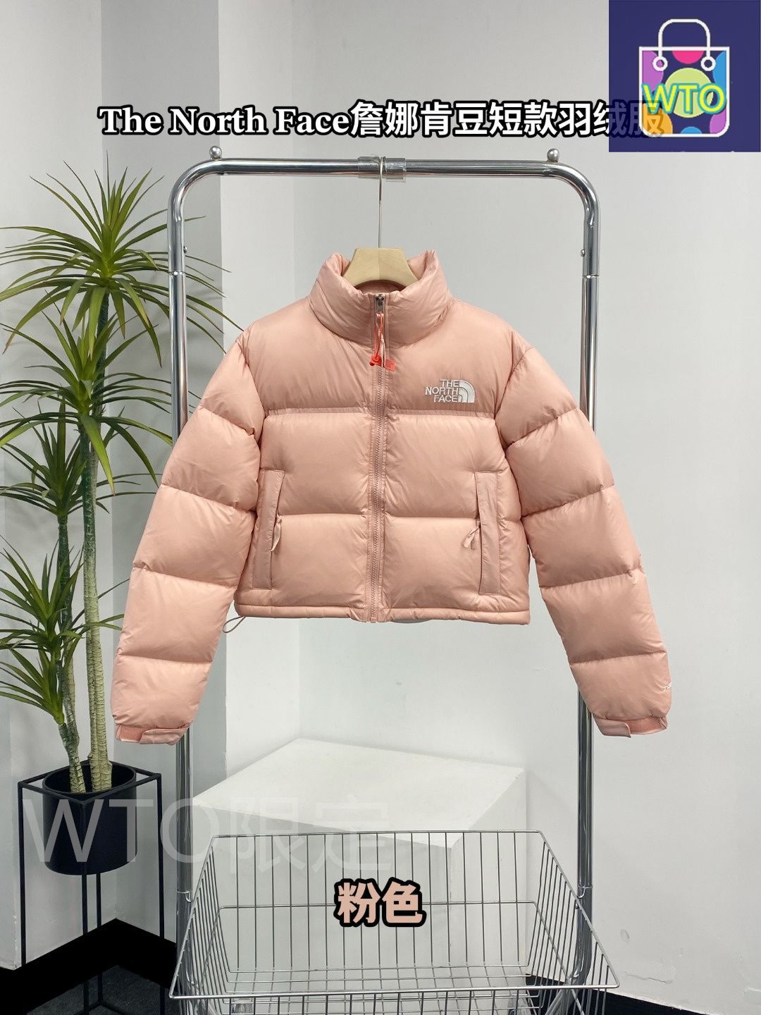 今日 The North Face ザ ノース フェイス ジェンナー同デザイン レディースショートダウン RDSグースダウン保温ダウンジャケット アウター トップス