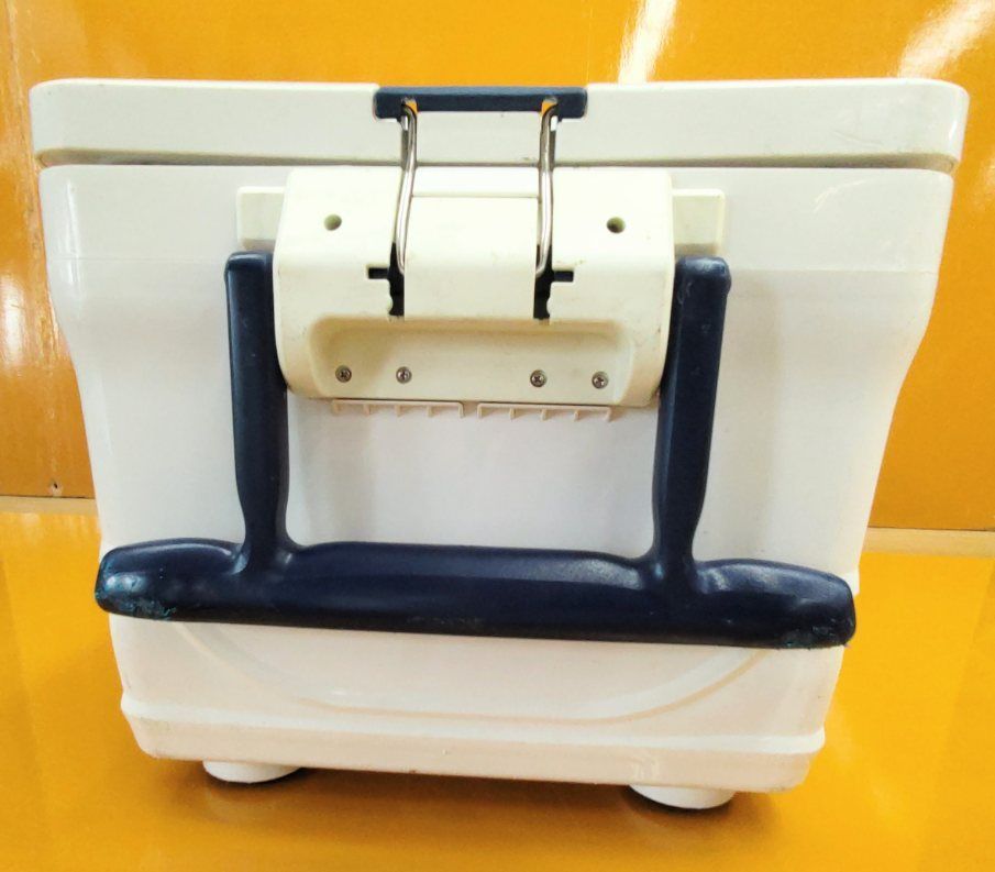 シマアジ ヒラメ