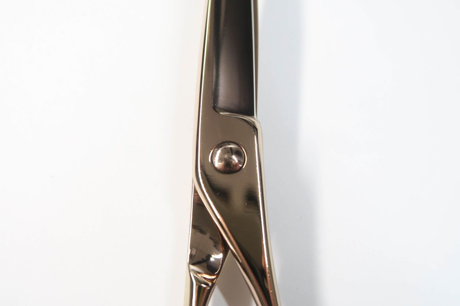 NETWORK ネットワーク