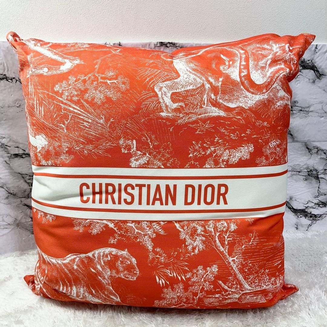 希少品 期間限定品 Christian Dior クリスチャンディオール