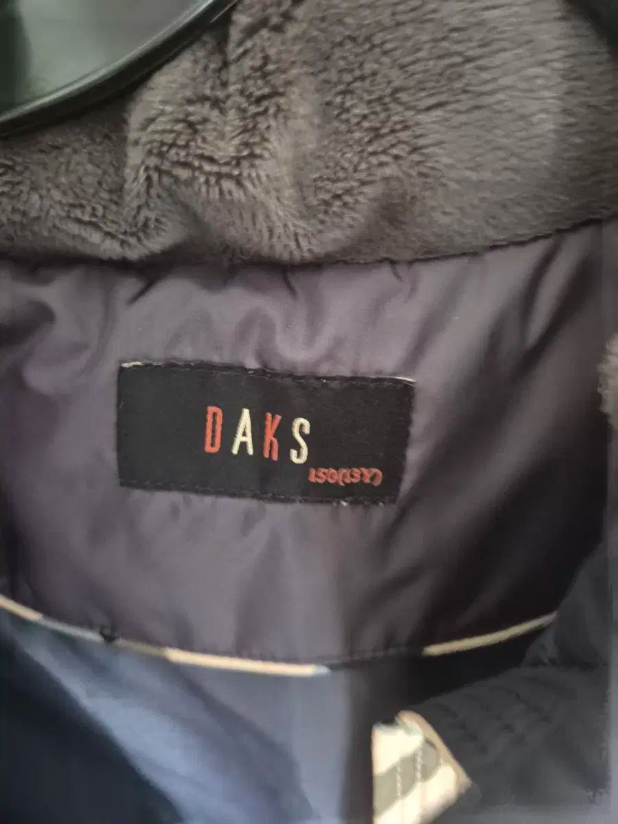 Little ダックスキッズ