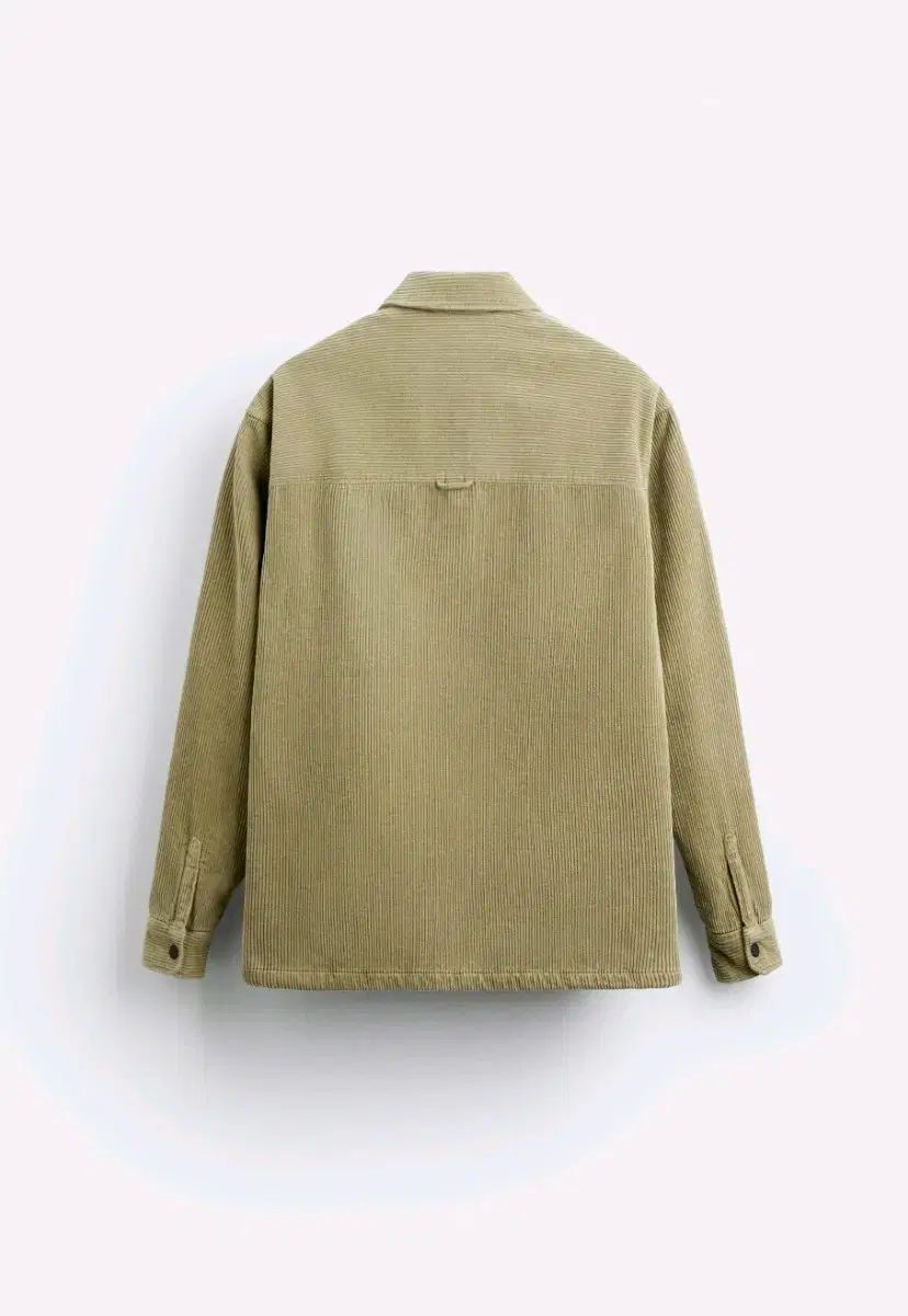 ザラ コーデュロイ