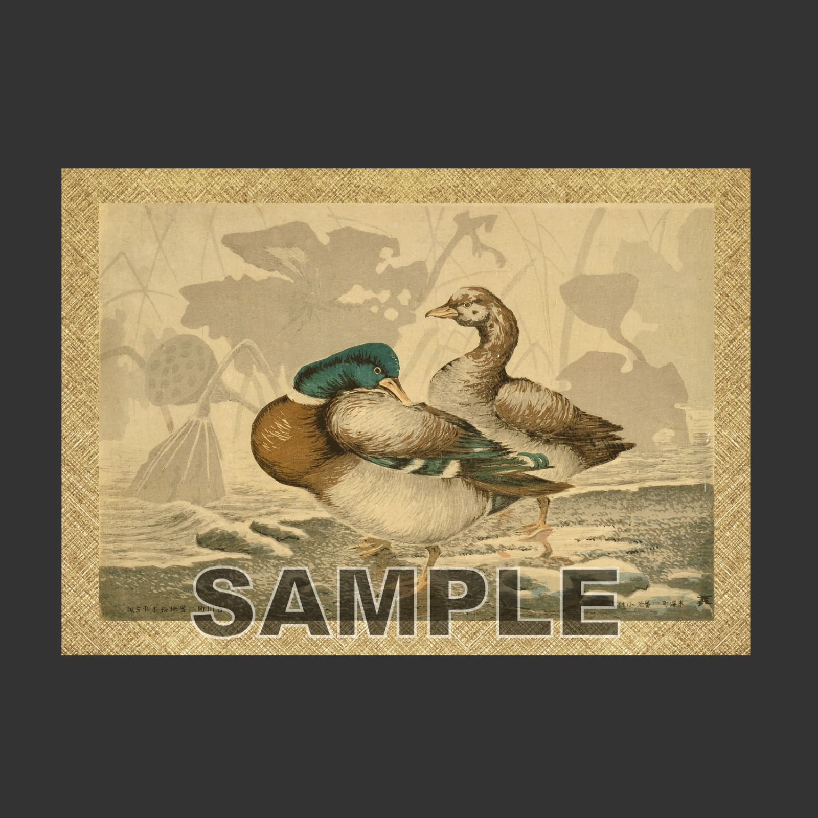 小林清親 「 アヒルと枯れた蓮 」 浮世絵ポスター A3 マット その86