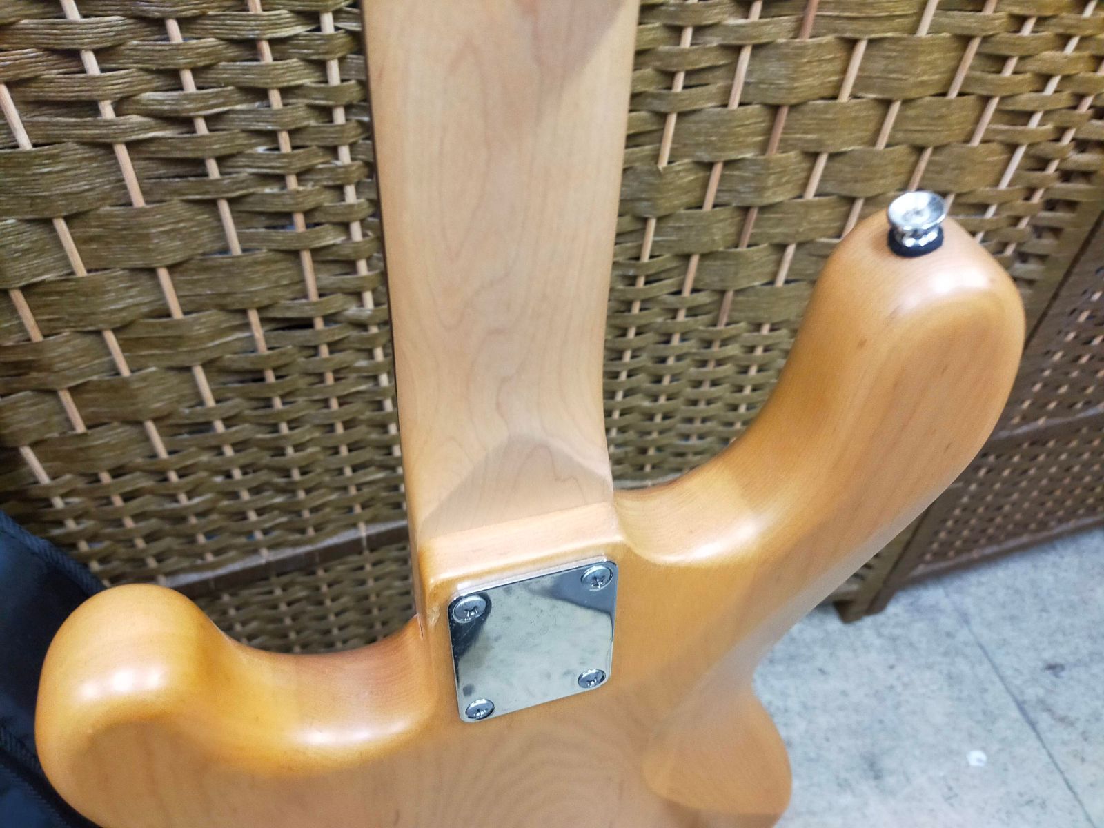 ソフトケース付き カレーナ