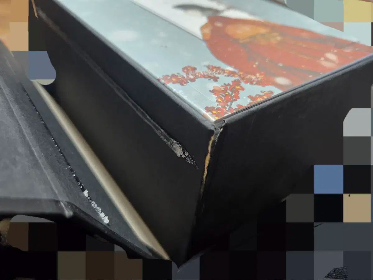 レディース 펀딩セット 外伝 ソルリ SULLI 開花 含む