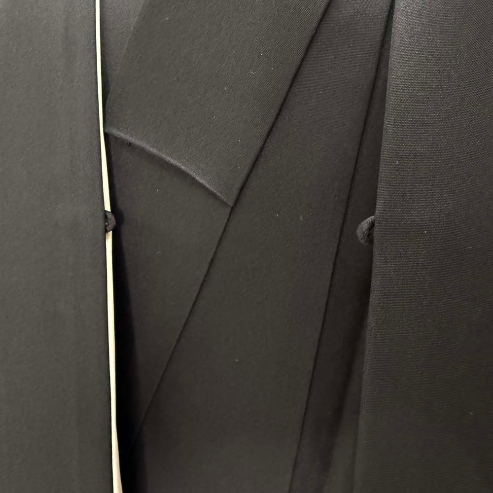 成人式 舞台衣装