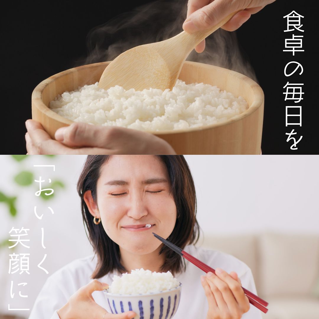 プレミアム米】れんげ農法で育てた ヒノヒカリ 10kg｜令和7年産 ｜福岡
