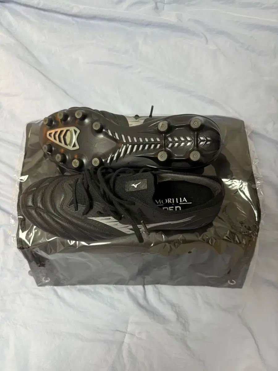ミズノ モレリア