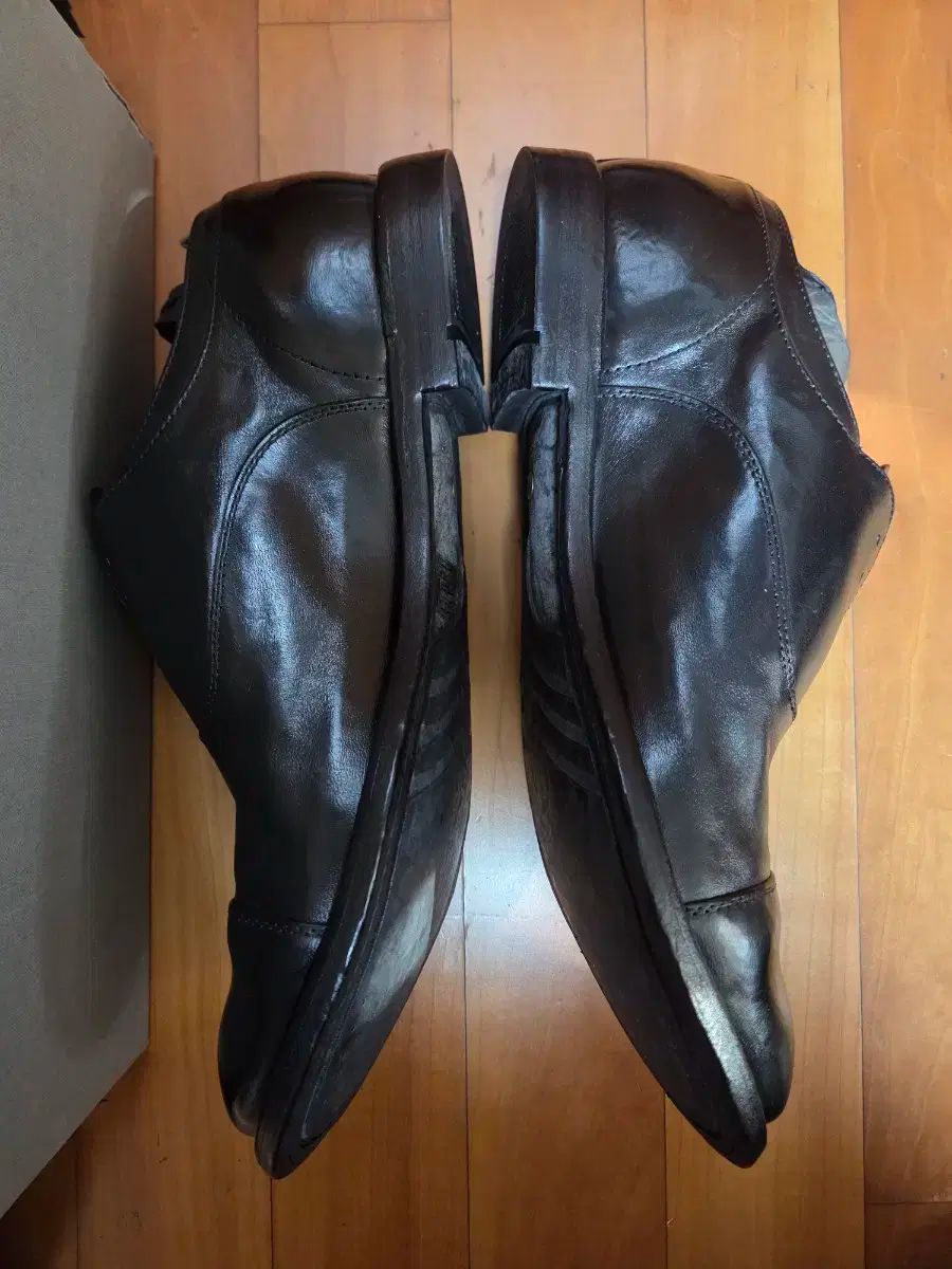 オピッチネ ク ティーベ アナトミア 008 ブラック