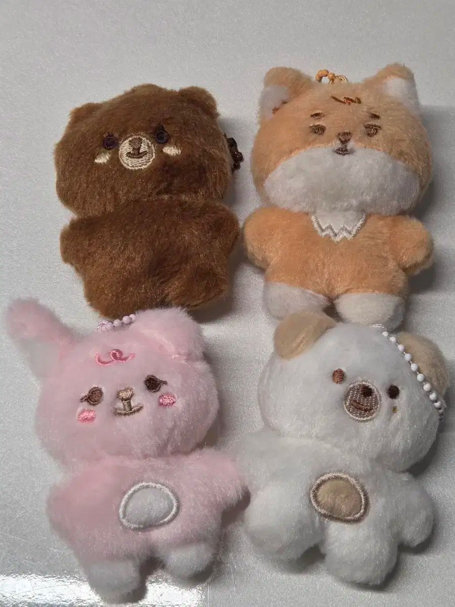 DAY6 デイシックス プチマル プチマルズ ミニ バンケフィルドン まとめ