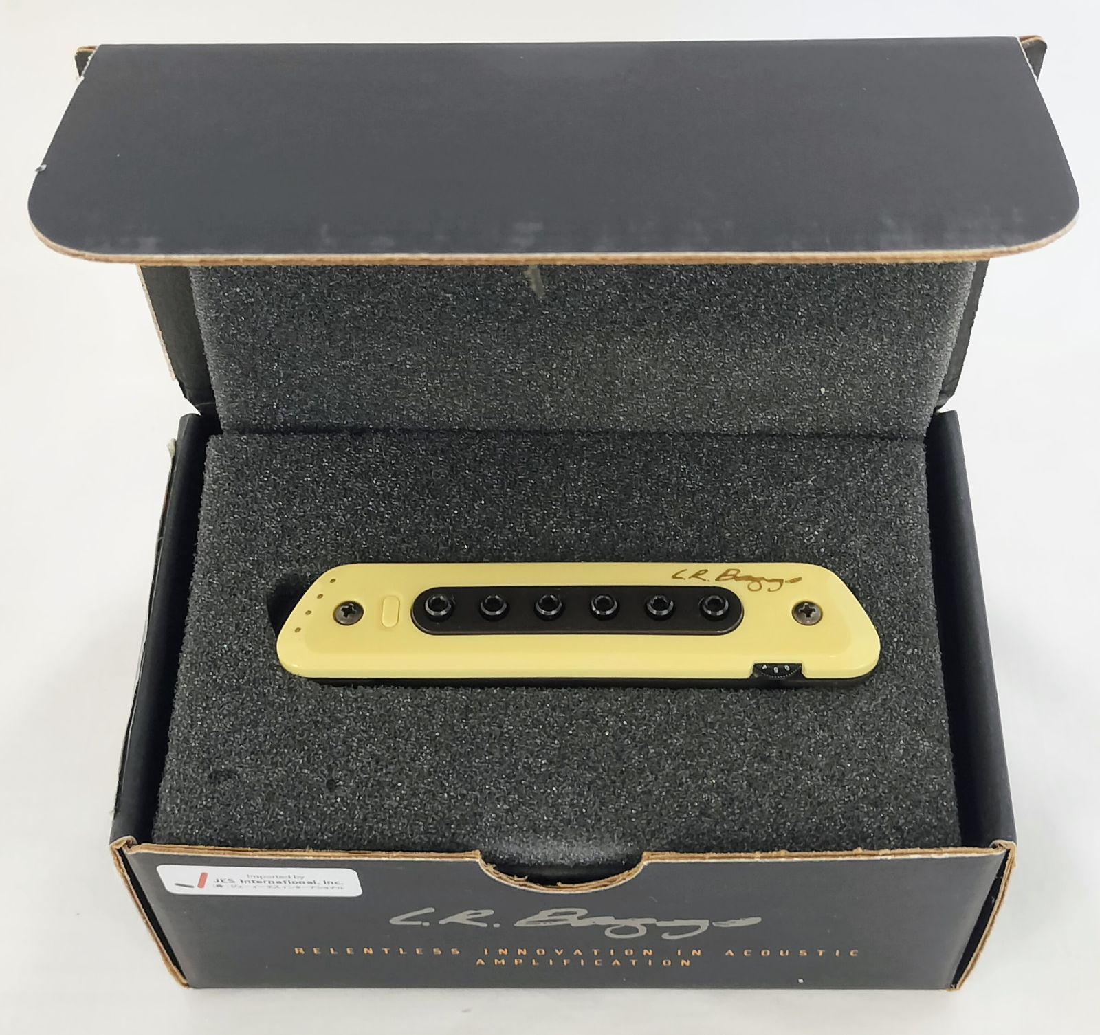 L R BAGGS M 80 アコースティックギター ピックアップ エルアールバッグス マグネティック