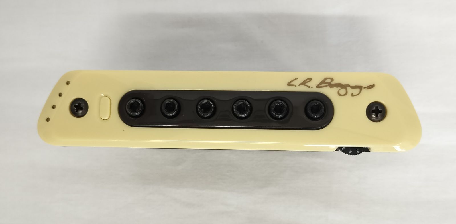 L.R.BAGGS M 80 アコースティックギター ピックアップ エルアールバッグス マグネティック マラカス DAWソフト