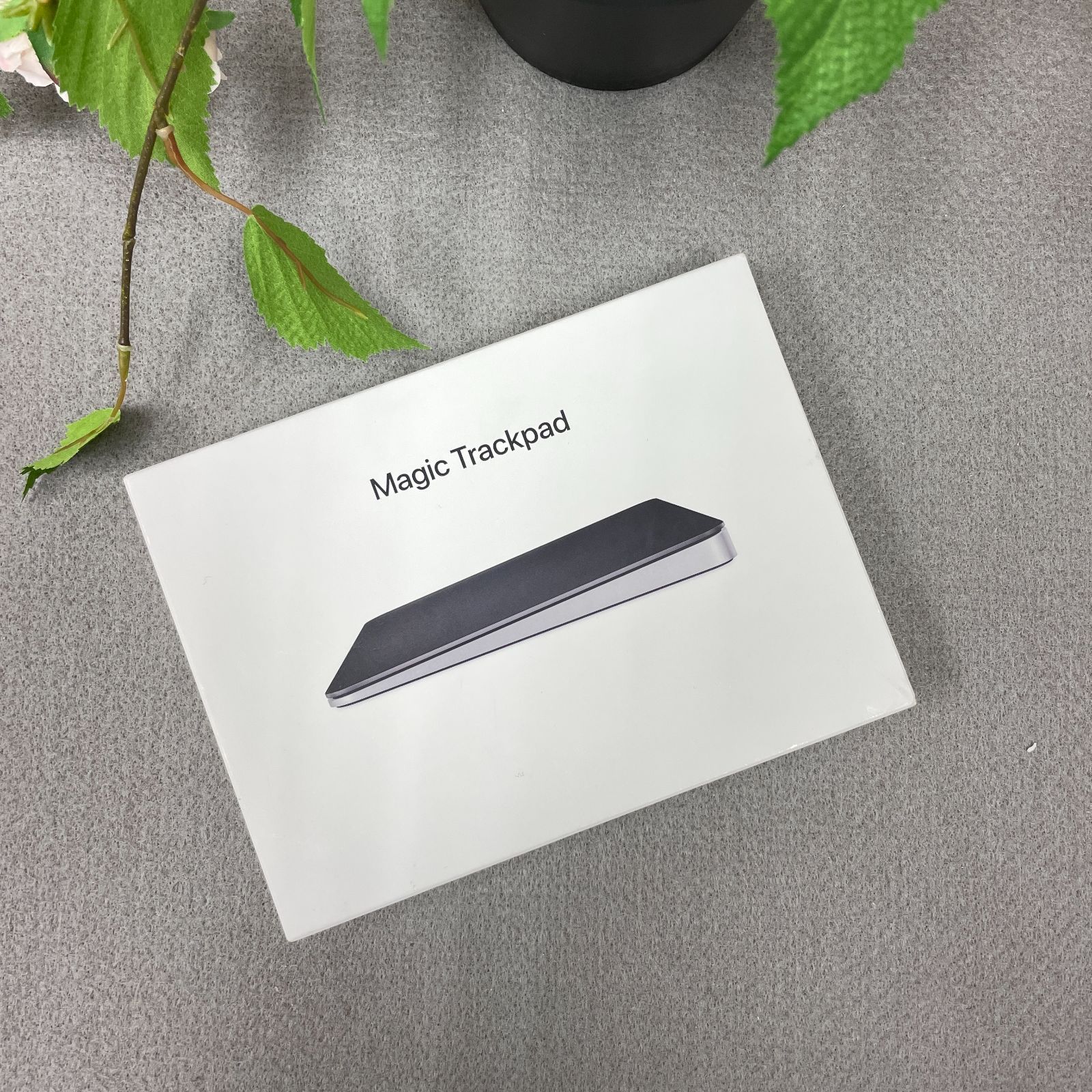 Magic Trackpad USB -C - ブラック