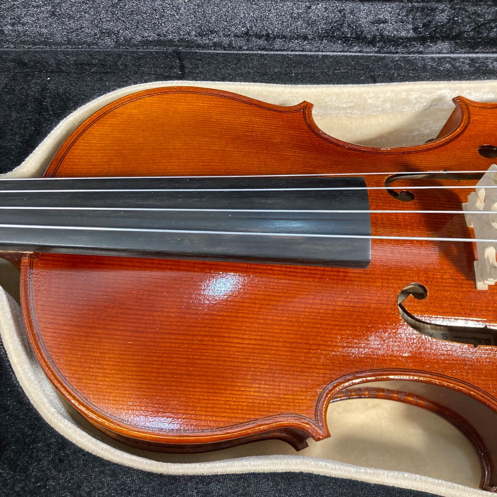 美品】EYS La Campana ビオラ eva01-156 - メルカリ