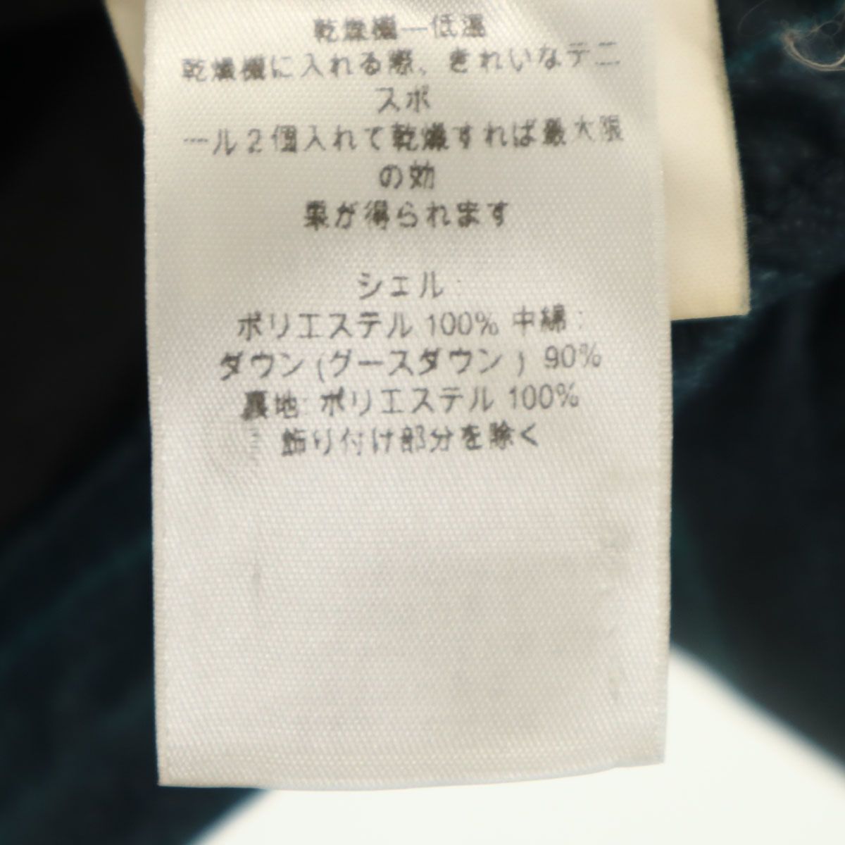 patagonia パタゴニア ボーダー柄 ダウンジャケット S ブルー系