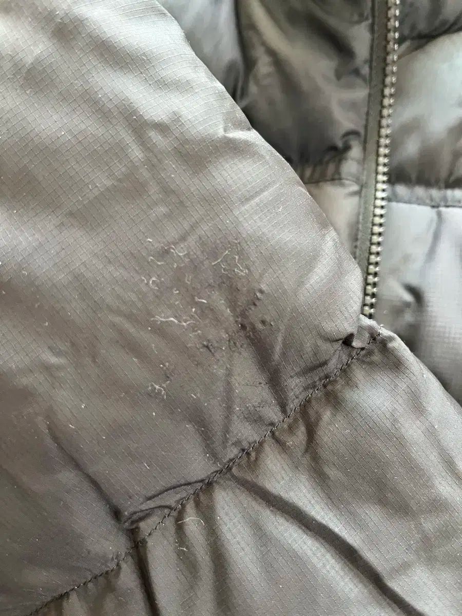 ザノースフェイス ヌプシ