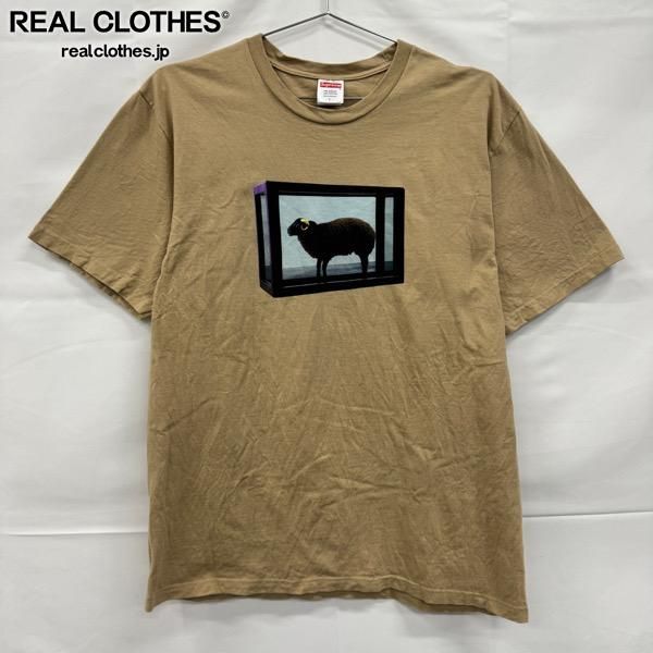 Supreme/シュプリーム【25SS】Damien Hirst Tee/ダミアン ハースト 半袖Tシャツ/カーキ/L