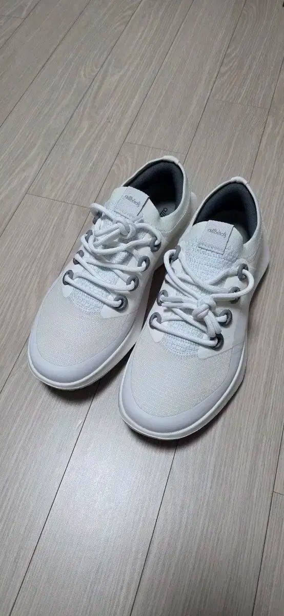 オールバーズ ゴルフシューズ スニーカー 白