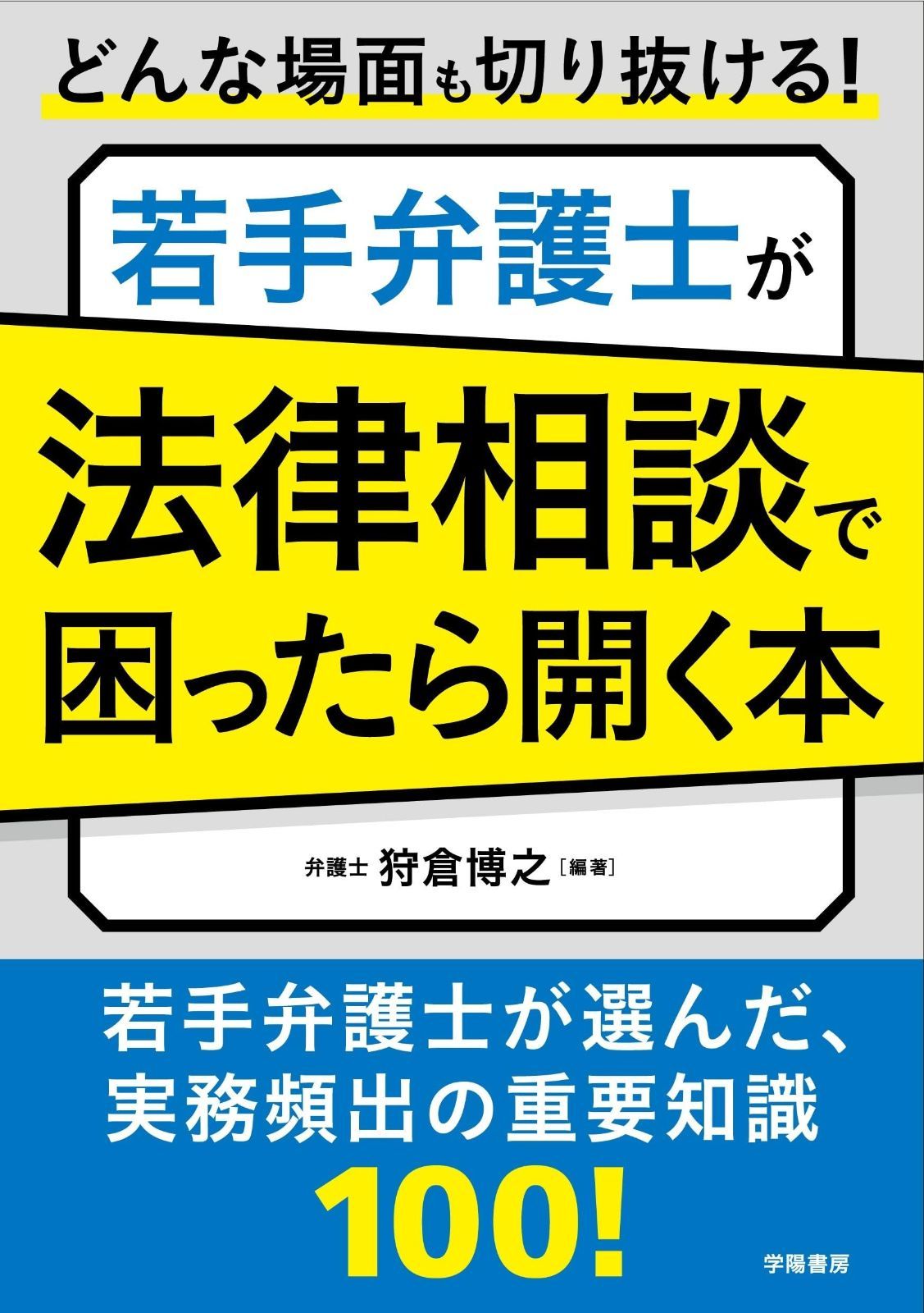 どんな場面も切り抜ける 若手弁護士が法律相談で困ったら開く本