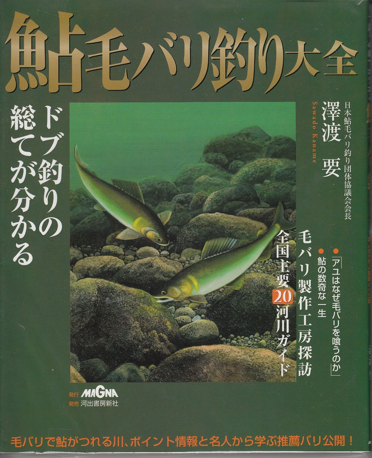 鮎毛バリ釣り大全 ドブ釣りの総てが分かる