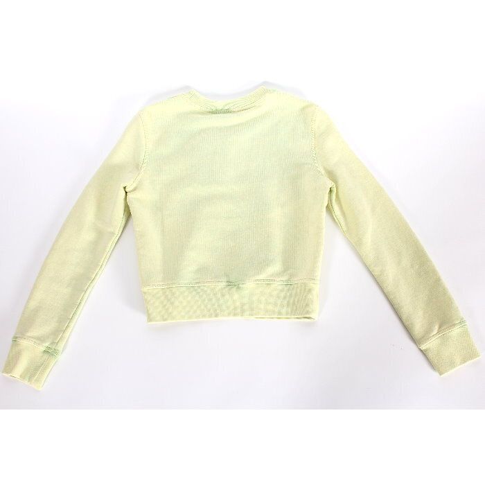 DSQUARED2 ディースクエアード クロップド スウェット シャツ S72GU0455 S25539 699 XSサイズ Mini Fit ライトグリーン ハート ロゴ プリント トレーナー クルーネック トップス レディース 本物 売れ筋 GINKGOPHARMACY_COM