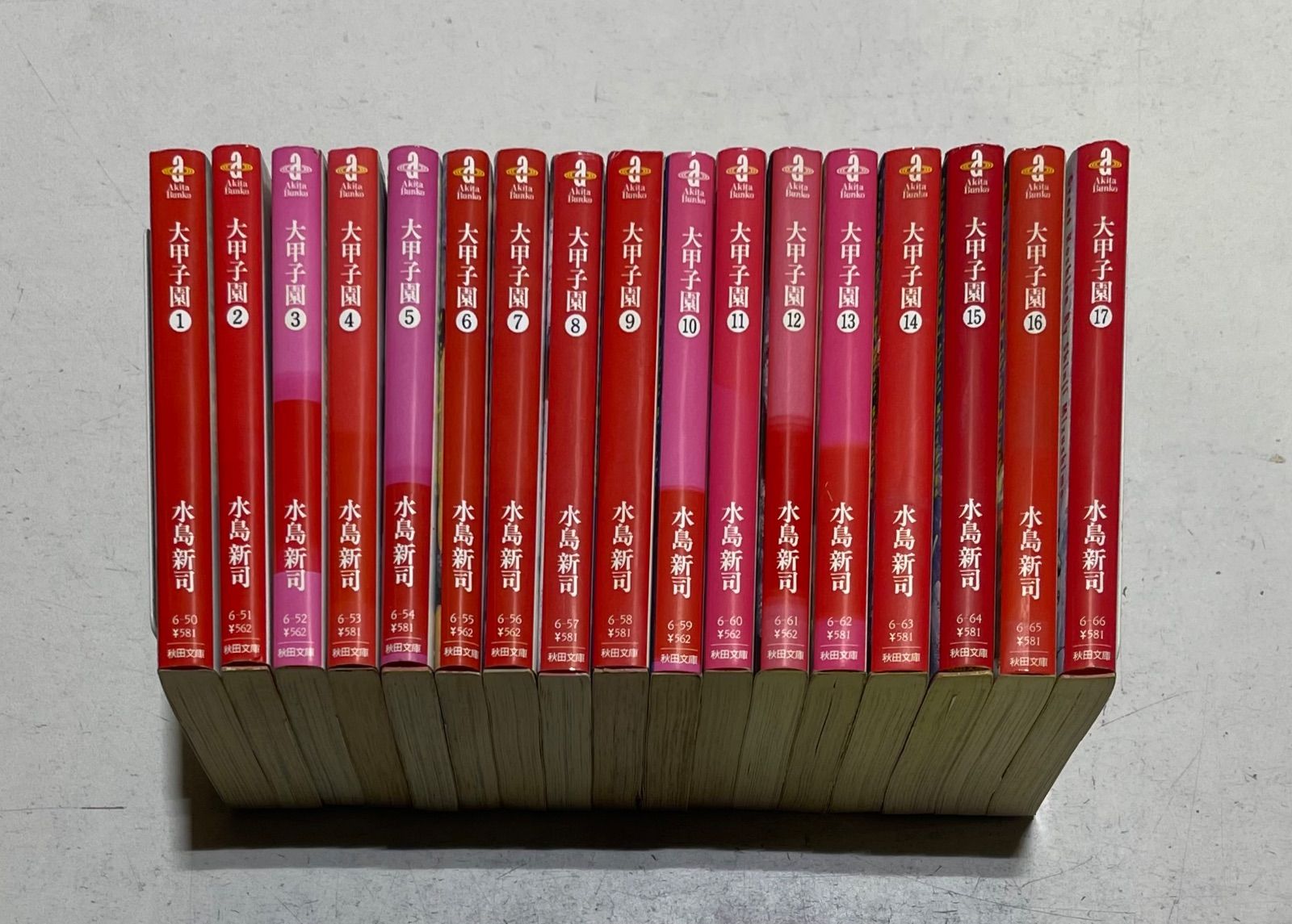 大甲子園 文庫版コミック 全17巻完結セット 水島新司 秋田文庫 - メルカリ