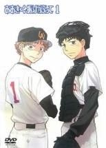 おおきく振りかぶって 18巻セット 全9巻 夏の大会編 全7巻 夏のスコアブック 全2巻 レンタル落ち DVD