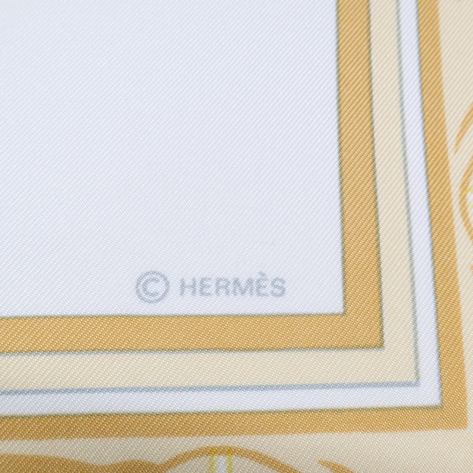 autres caryophyllales