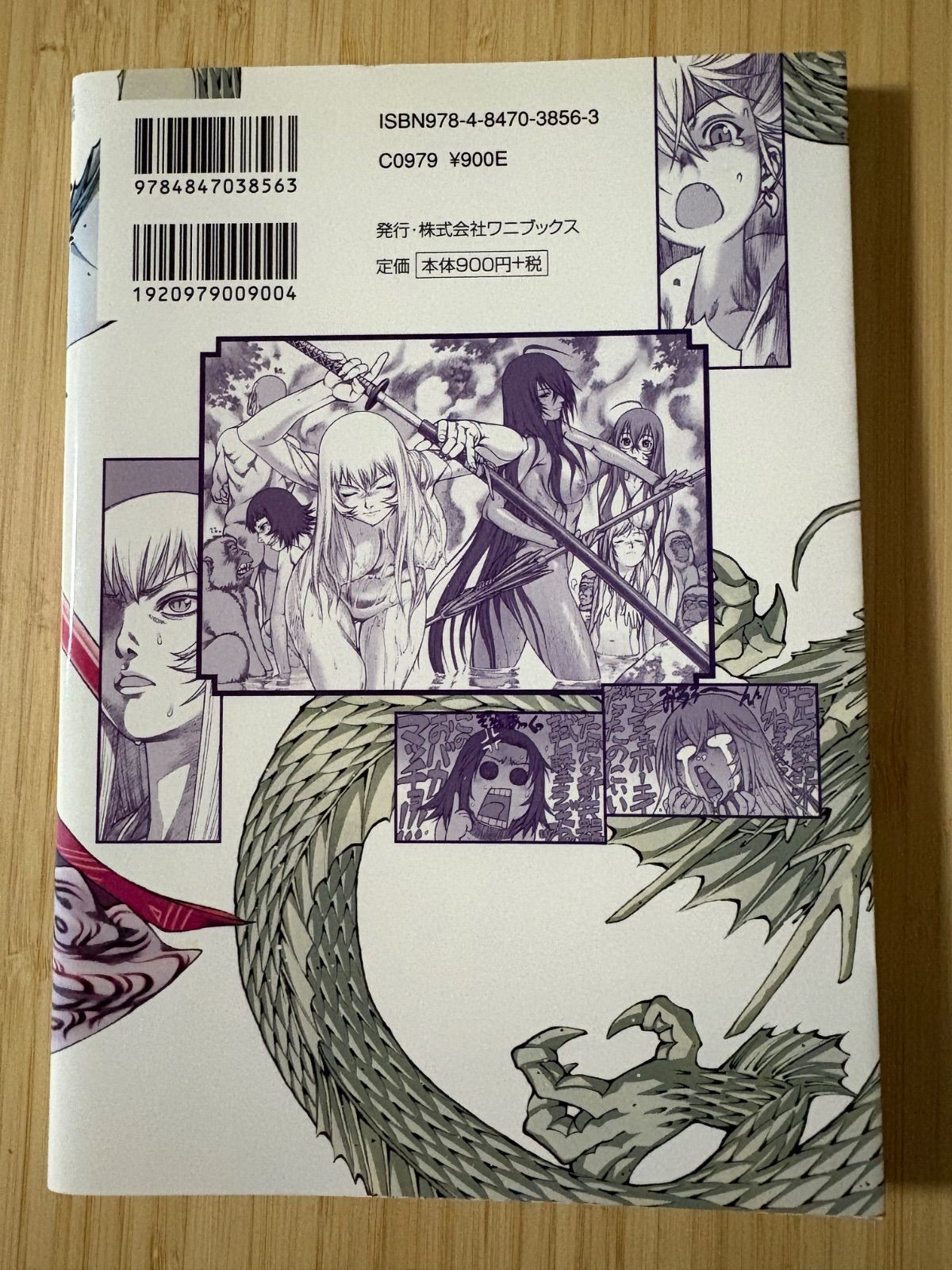 一騎当千-逆鱗考察。 - メルカリ