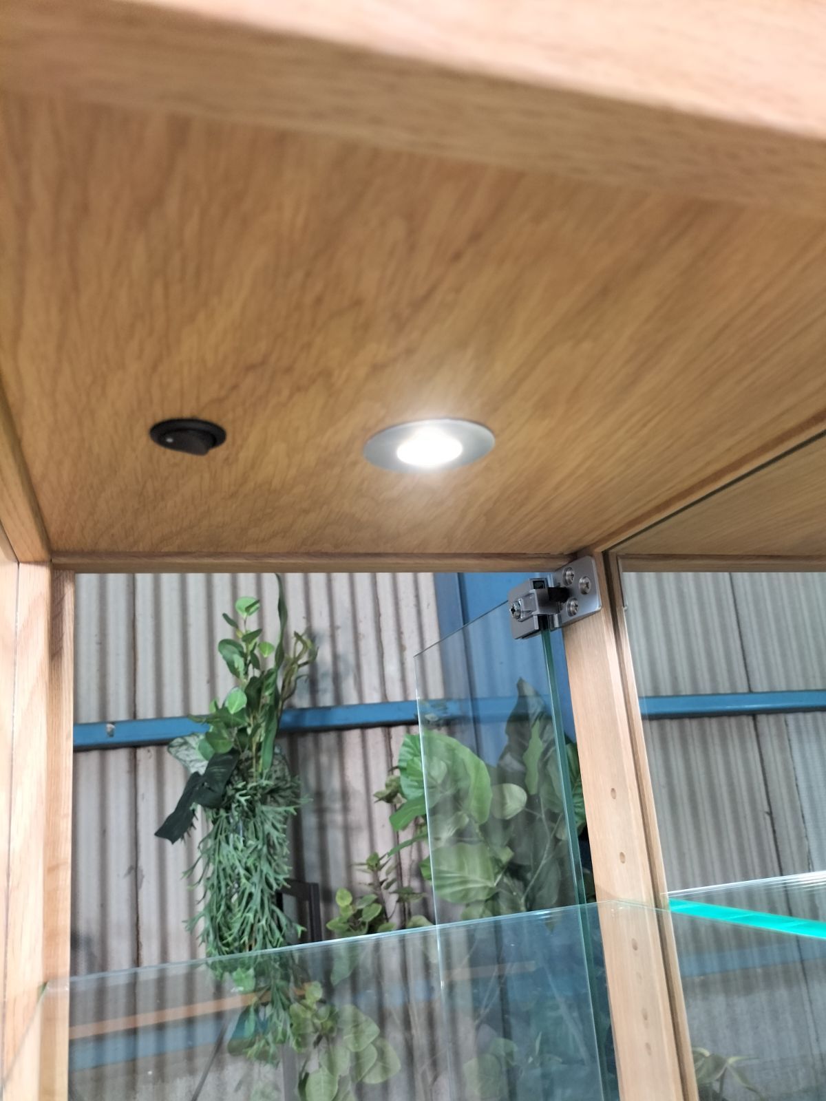 直接引取限定】CondeHouse カンディハウス ツイスト ミニキュリオ