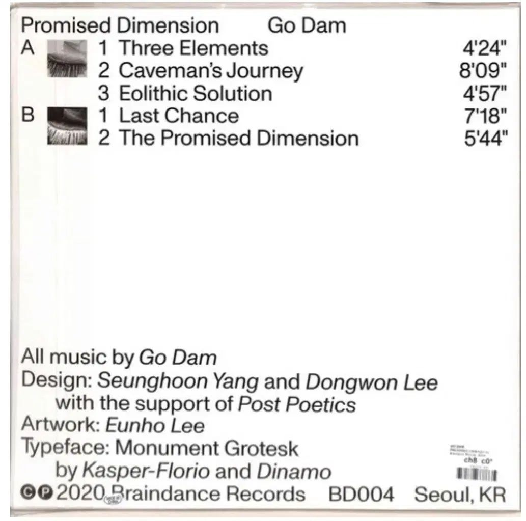 Go Dam Promised Dimension ー - LP マンドリン その他 