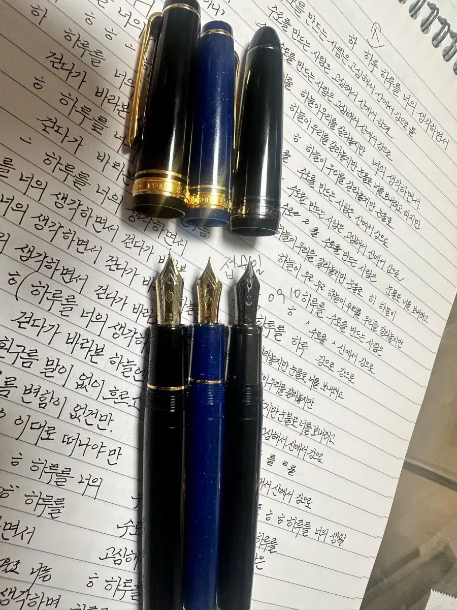 セーラー プロギア21 k ブラック ゴールド 万年筆